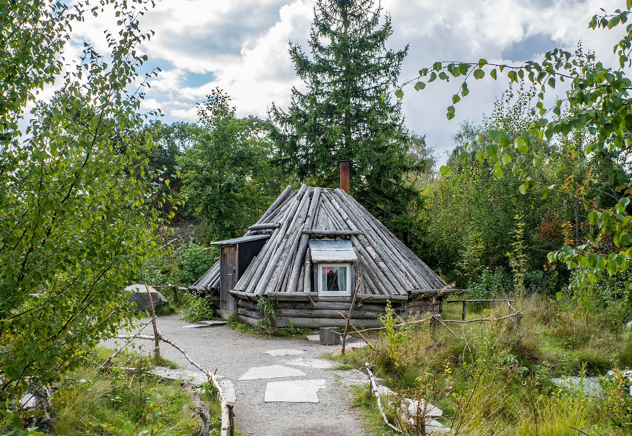 安家艺术，打造理想居住环境的房屋装修图